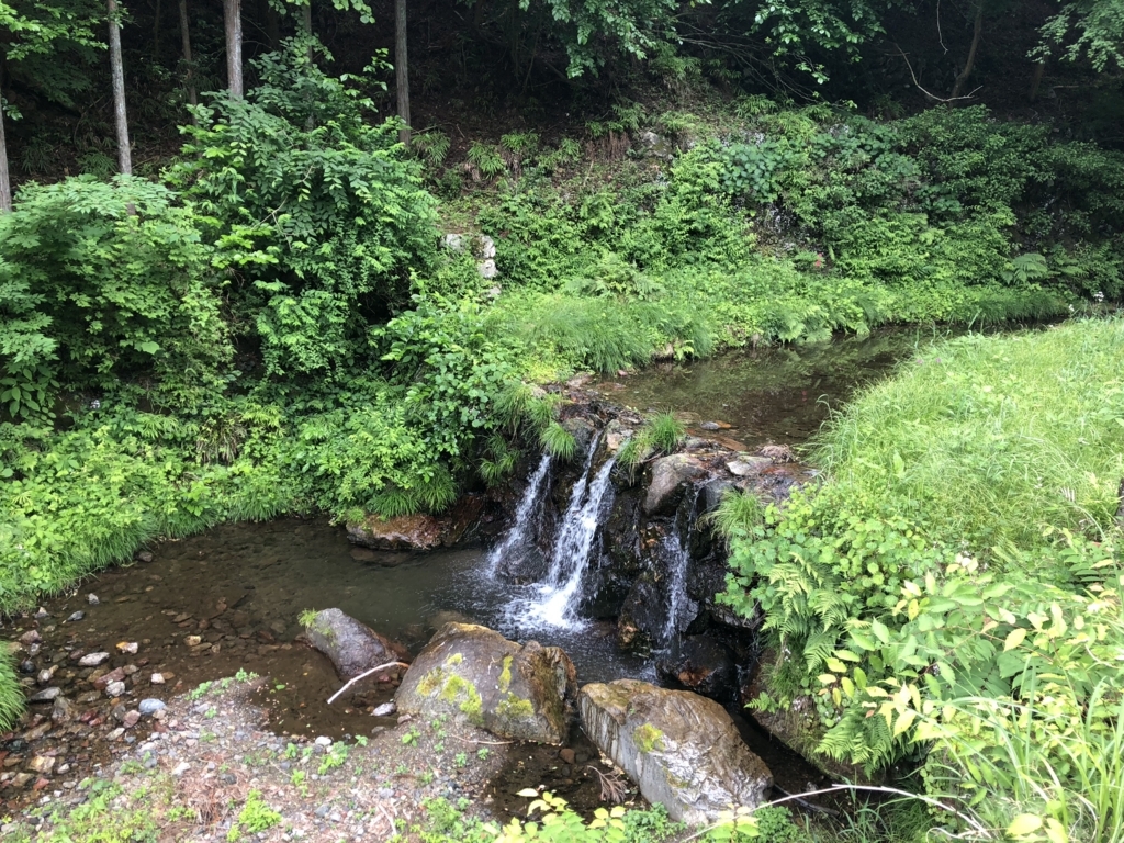 f:id:amayadorido:20180609195809j:plain f:id:amayadorido:20180609195809j:plain
