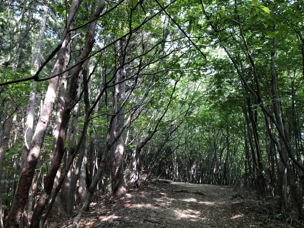f:id:amayadorido:20180609200207j:plain f:id:amayadorido:20180609200207j:plain