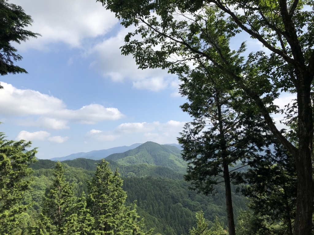 f:id:amayadorido:20180609200250j:plain f:id:amayadorido:20180609200250j:plain