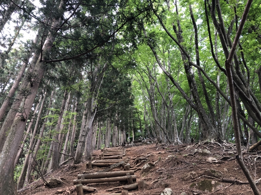 f:id:amayadorido:20180609200655j:plain f:id:amayadorido:20180609200655j:plain