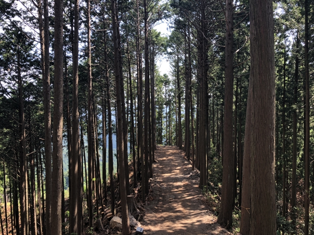 f:id:amayadorido:20180609200922j:plain f:id:amayadorido:20180609200922j:plain