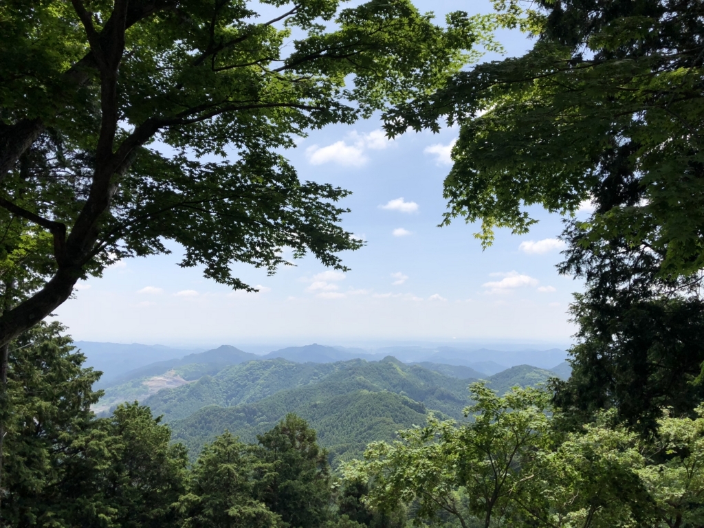 f:id:amayadorido:20180609201242j:plain f:id:amayadorido:20180609201242j:plain