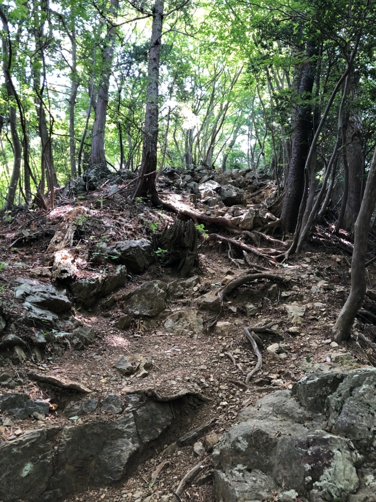 f:id:amayadorido:20180609203321j:plain f:id:amayadorido:20180609203321j:plain