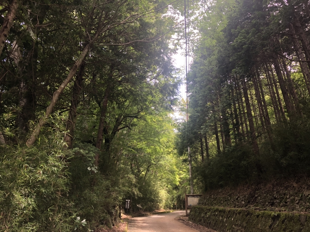 f:id:amayadorido:20180730221416j:plain f:id:amayadorido:20180730221416j:plain