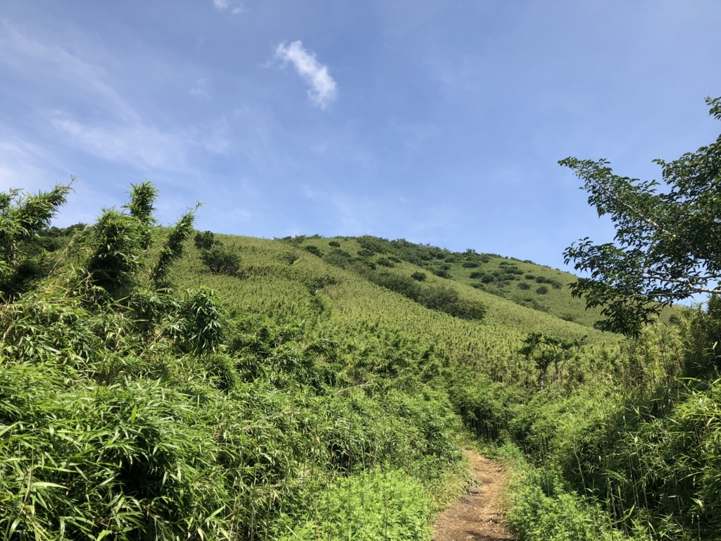 f:id:amayadorido:20180730221510j:plain f:id:amayadorido:20180730221510j:plain