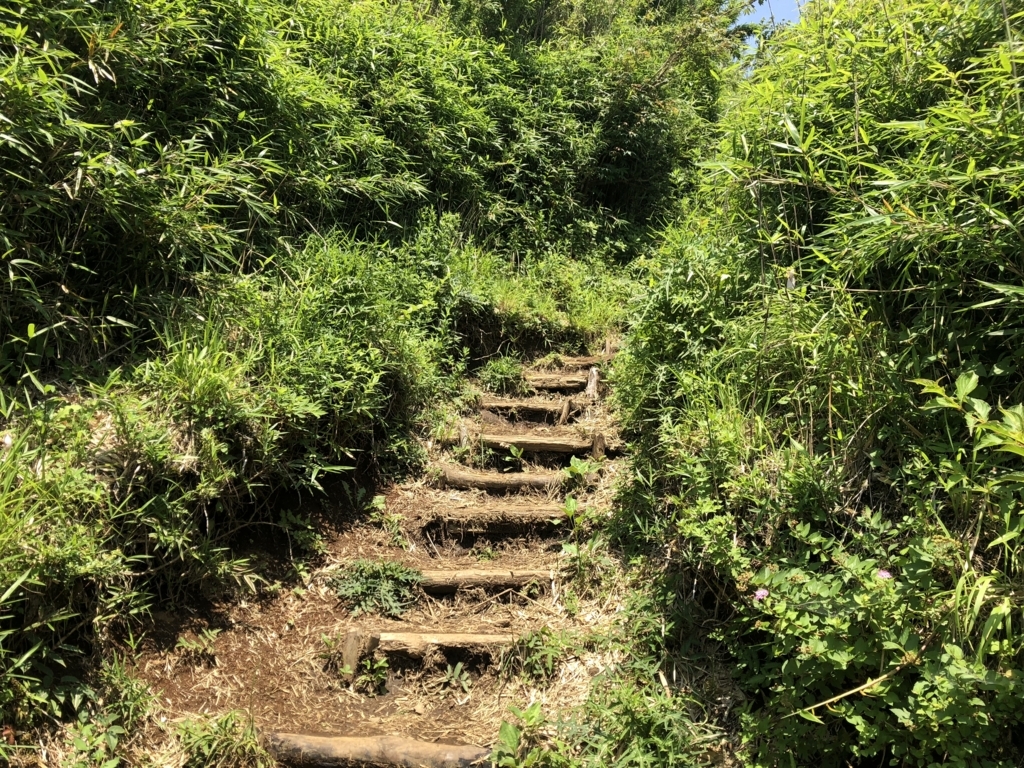 f:id:amayadorido:20180730221537j:plain f:id:amayadorido:20180730221537j:plain