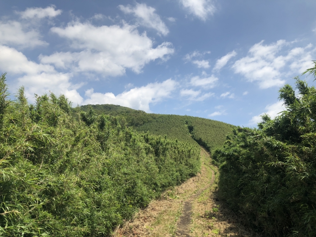 f:id:amayadorido:20180730221953j:plain f:id:amayadorido:20180730221953j:plain