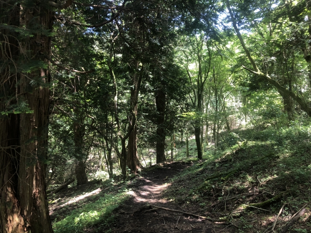f:id:amayadorido:20180730222054j:plain f:id:amayadorido:20180730222054j:plain