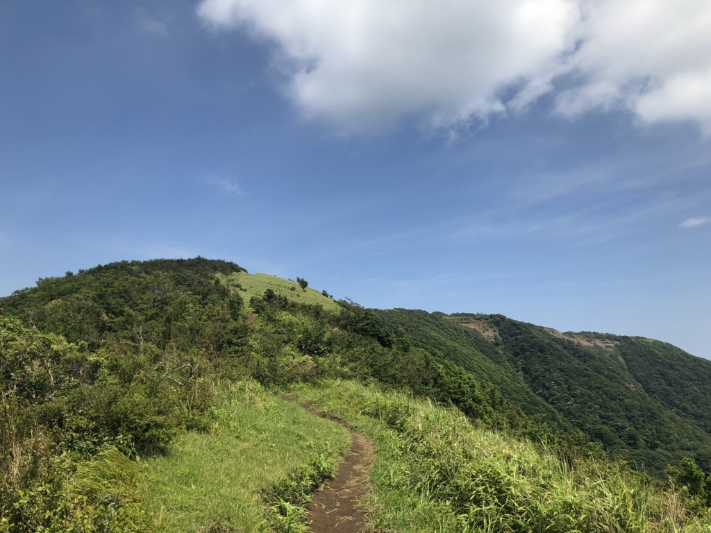 f:id:amayadorido:20180730222145j:plain f:id:amayadorido:20180730222145j:plain
