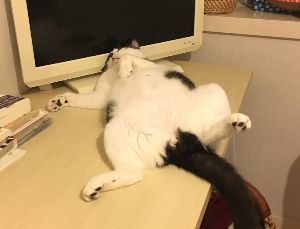 海賊の残党 おっ(¨) 約定音で眼が醒めた！ Ｐ１８０＠５ もちろん、なんかあったときの保険...もっと