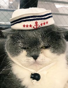 海賊の残党 暑さと寝不足でdown・・ 起きてみたら、少し沈んでた。 もったいないことをした。 今日はノートレー