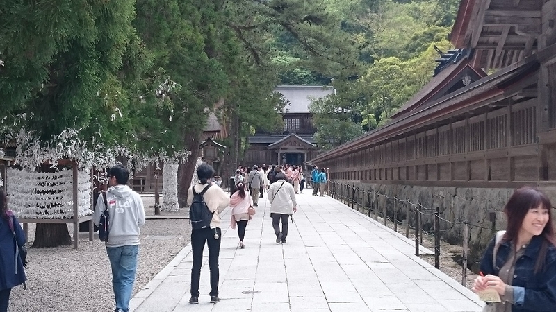 イメージ 8