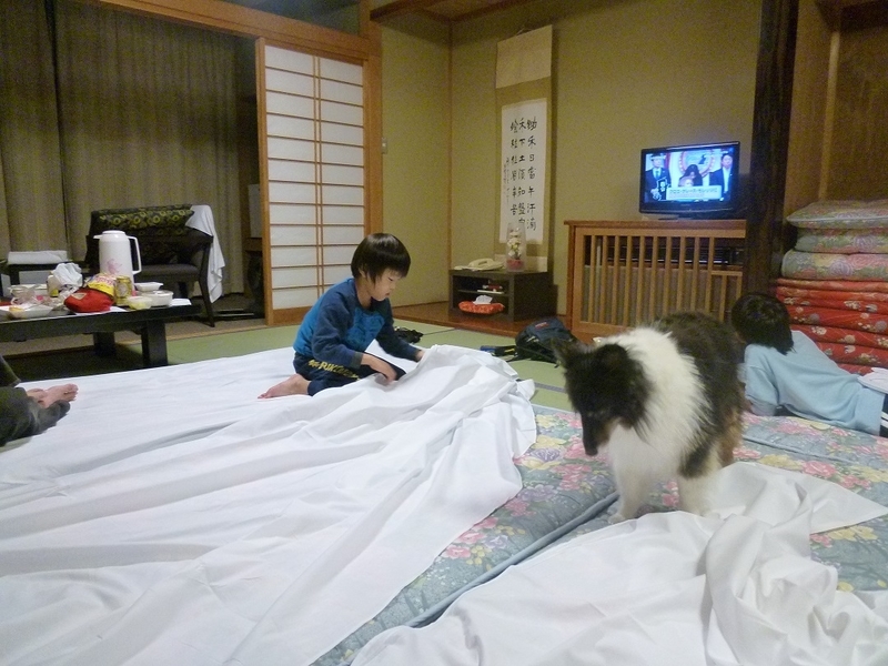 イメージ 2