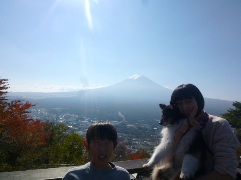 イメージ 2