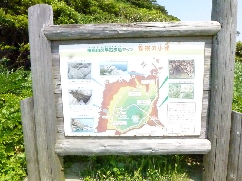 イメージ 4