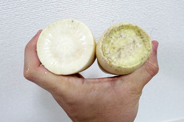 「ダイちゃんキャロちゃん」をかぶせた大根はまだまだ元気!