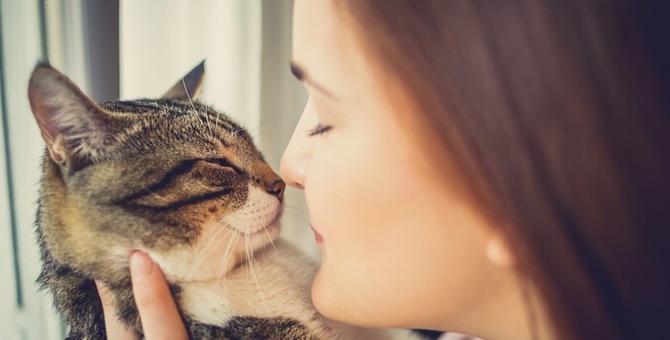 猫の知能レベルを他の動物と比較!猫は人の言葉を理解している!