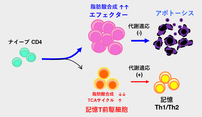 図3