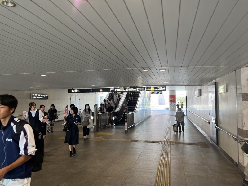 【続名城100選】浜松城の駐車場情報とスタンプ設置場所を徹底解説!