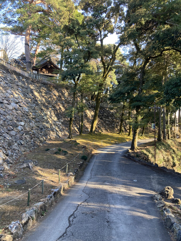 唐沢山城,唐沢山城跡