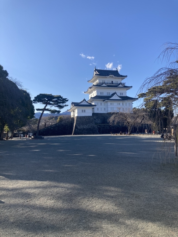 小田原城天守閣（遠景）