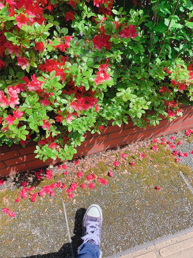 f:id:amazuppa:20190522110728j:image