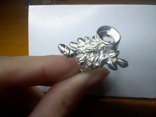 f:id:amber712:20100201130113j:image