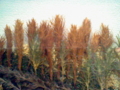 20100407184738