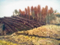 20100407184744