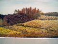 20100407184749