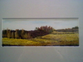 20100407184756
