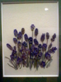 20100407185039