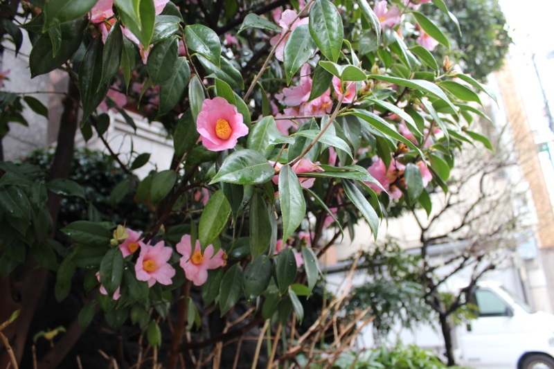 f:id:amberaym:20120301145516j:image:w360