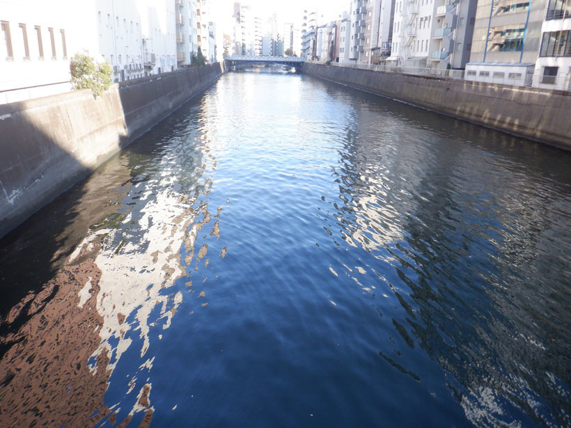 f:id:ambience:20191214141143j:plain f:id:ambience:20191214141143j:plain