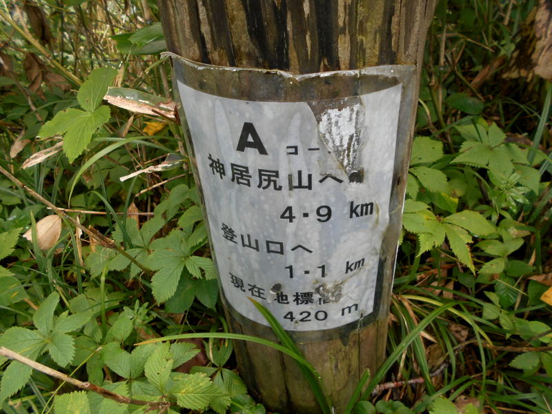 f:id:amc2020:20200524080556j:plain f:id:amc2020:20200524080556j:plain