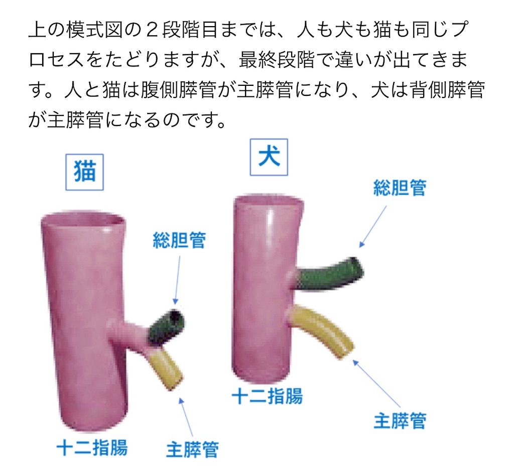 f:id:amchat:20230126062924j:image