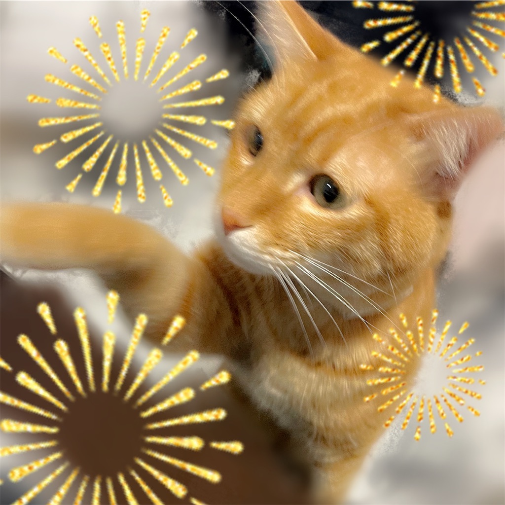 f:id:amchat:20230126091339j:image