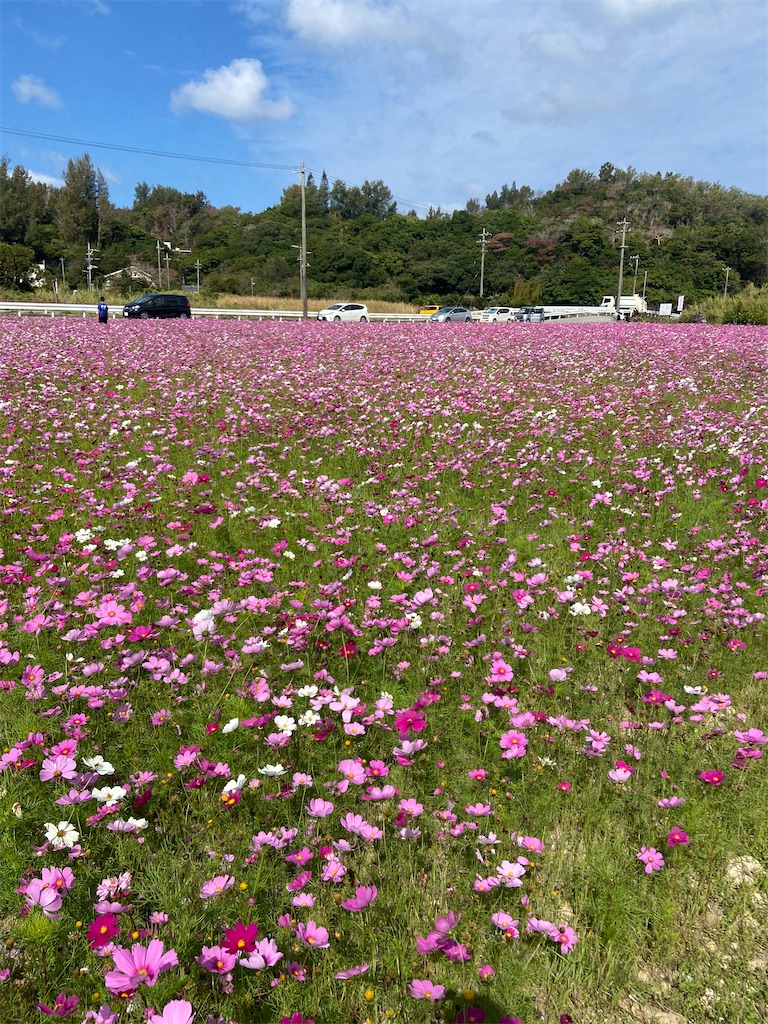 f:id:amdt_october:20260224181152j:image