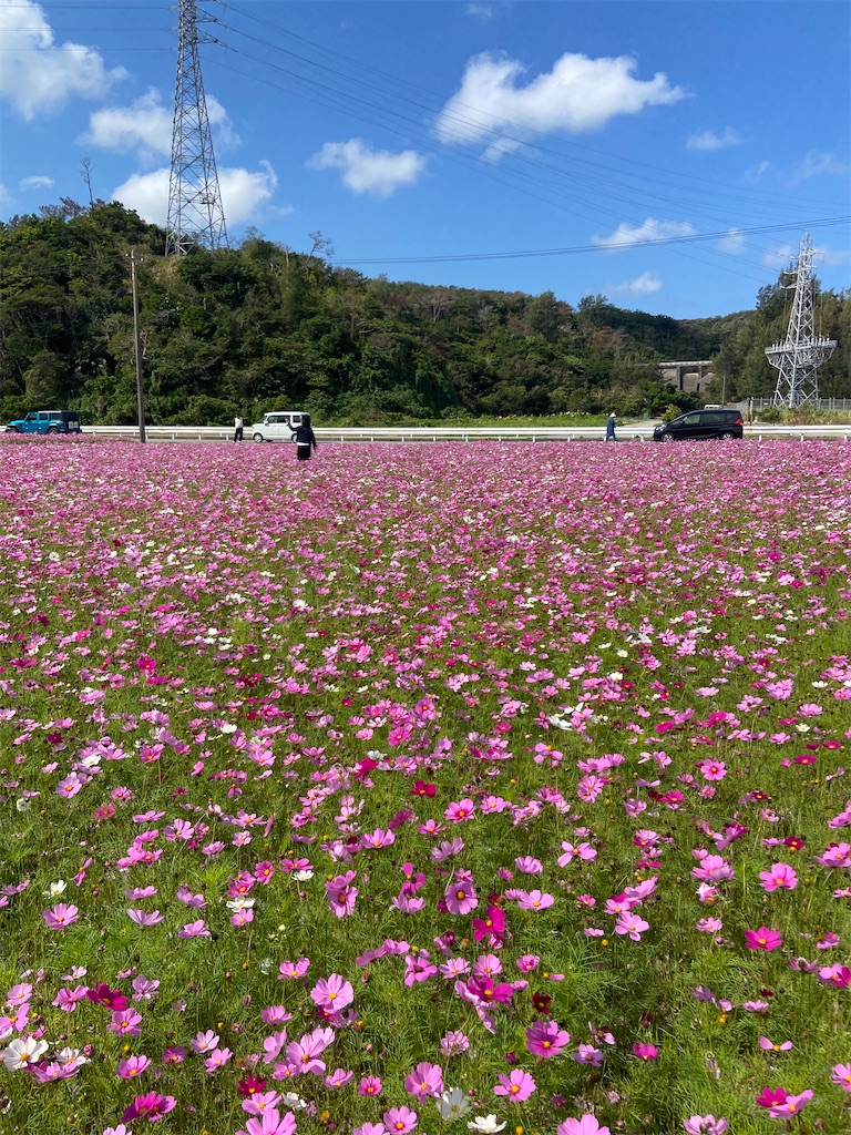 f:id:amdt_october:20260224181214j:image