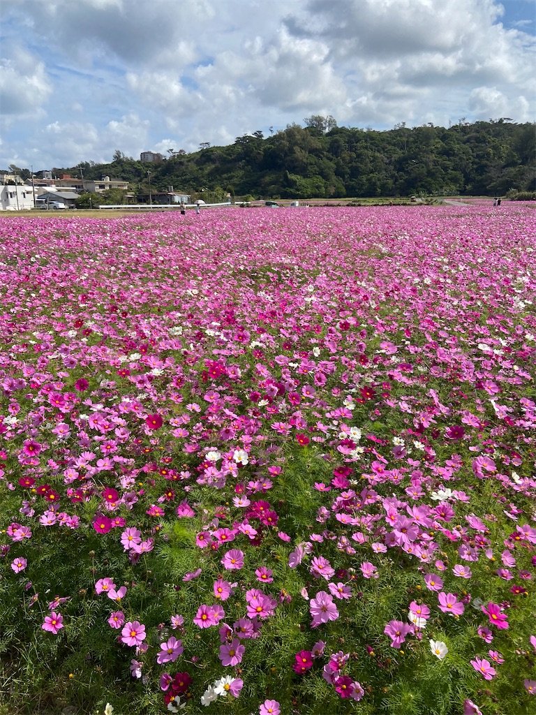 f:id:amdt_october:20260224181220j:image