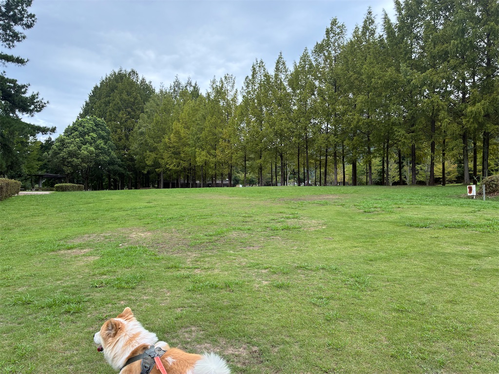 f:id:amdt_october:20260907074045j:image
