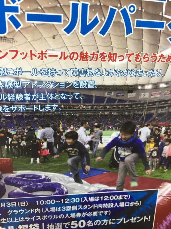 イメージ 6