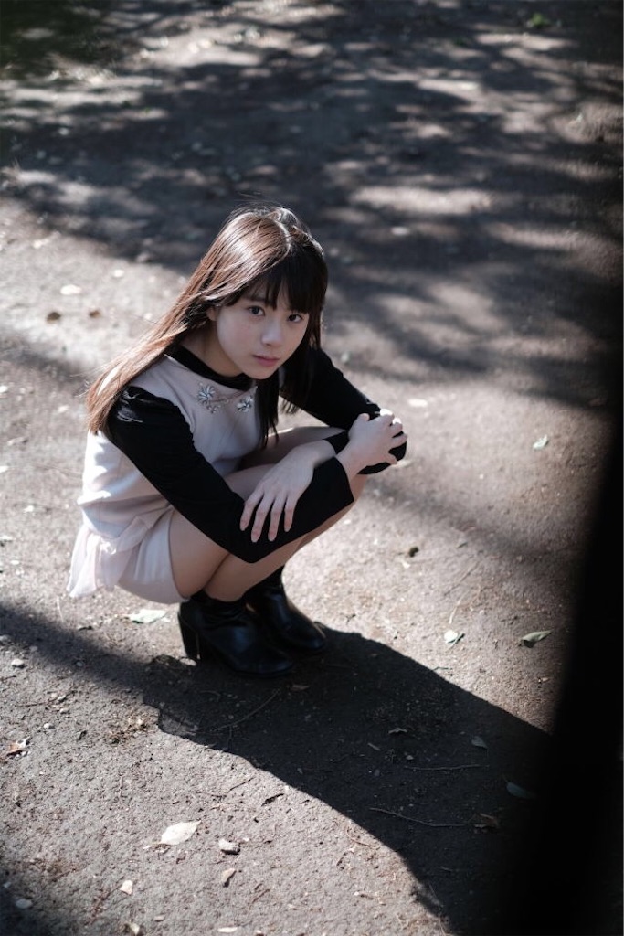 f:id:amecantomodachi:20161120112734j:image