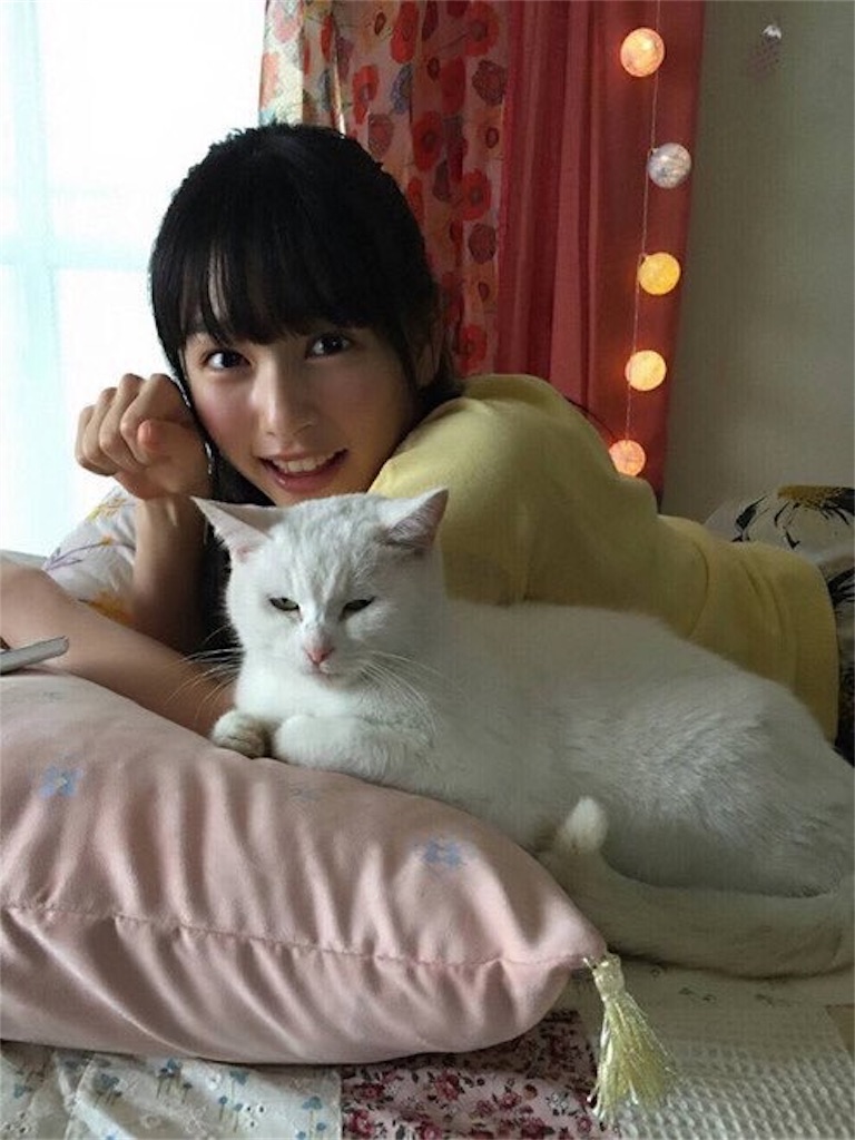 f:id:amecantomodachi:20161120125928j:image