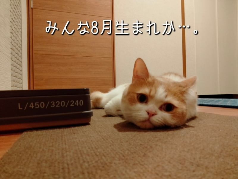 f:id:ameda-amanatsu:20210815085937p:plain