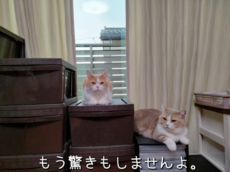 f:id:ameda-amanatsu:20210907081903p:plain