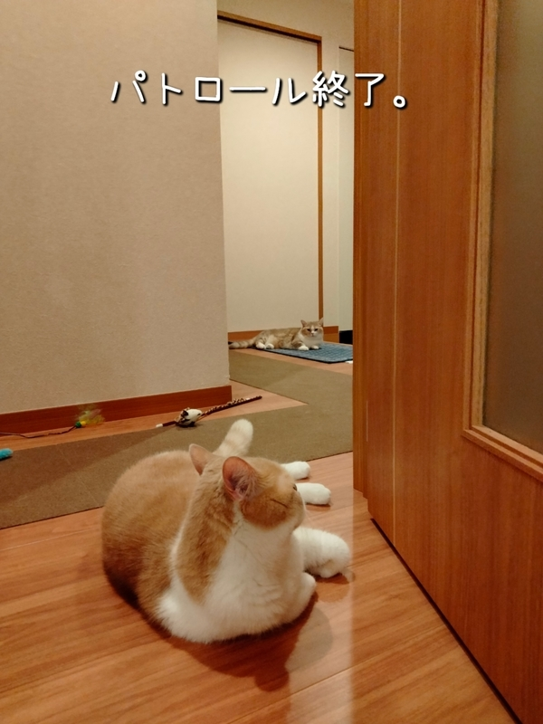 f:id:ameda-amanatsu:20210914085802p:plain