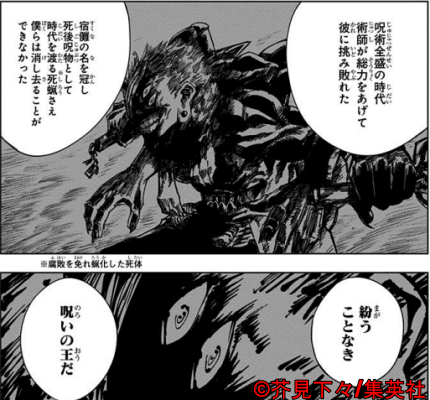 呪術廻戦】宿儺が見逃したのは遍殺即霊体の本当の強さ故に - amedotの