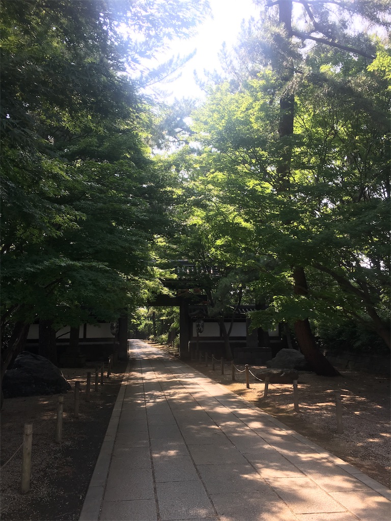 f:id:amefuri5kumanoko:20190730190444j:image f:id:amefuri5kumanoko:20190730190444j:image