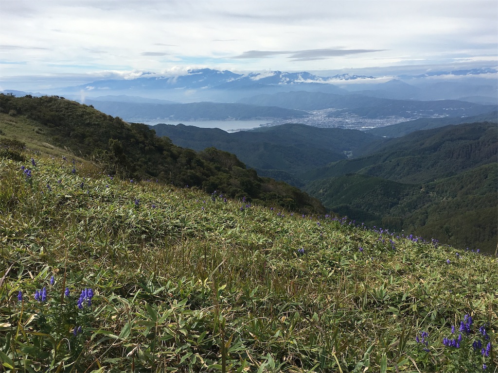 f:id:amefuri5kumanoko:20190925083025j:image
